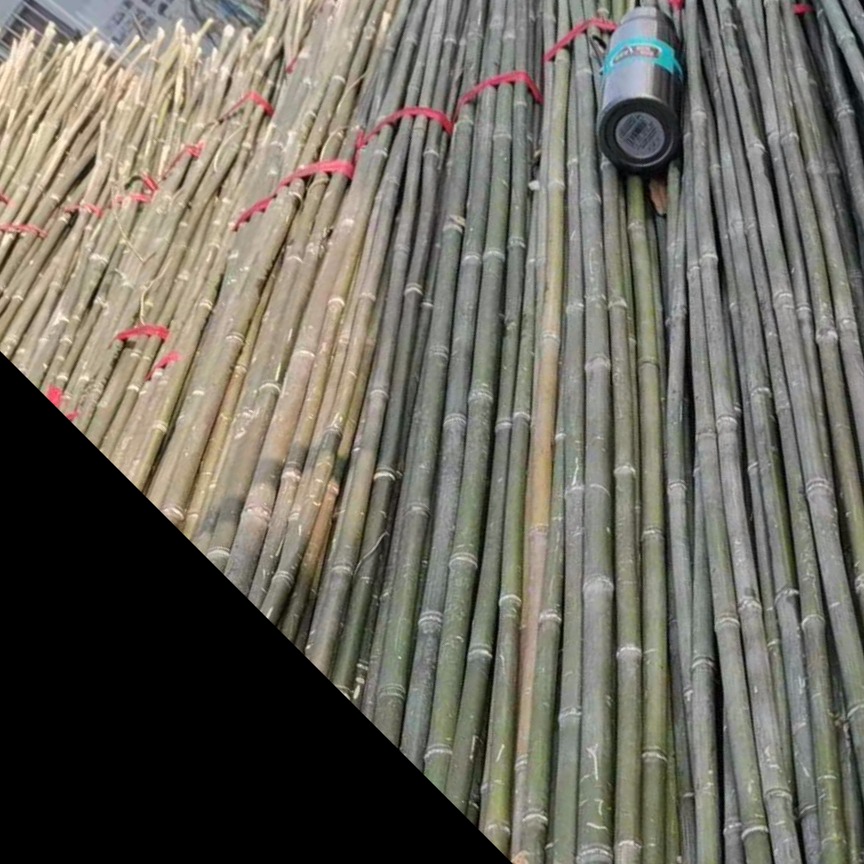 菜架竹厂家1厘米粗的篱笆杆 1.5厘米粗的豆架杆  规格款式可定制量大从优