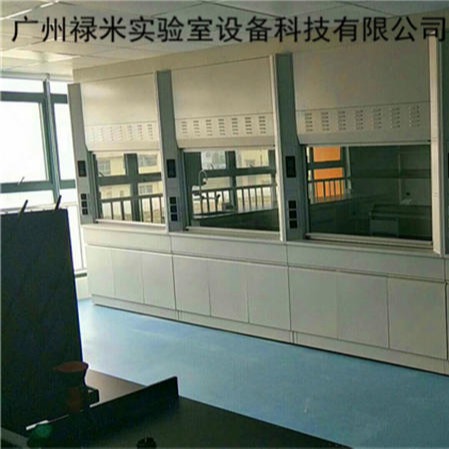 禄米实验室 生产销售 全钢通风柜 通风橱 通风系统 实验室家具 LM-TFG1779
