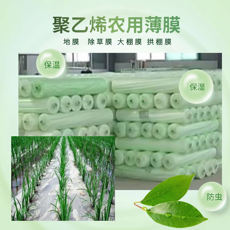 农膜 凯帝 聚乙烯塑料薄膜 农用塑料布 武汉农用大棚膜生产厂家 大量现货
