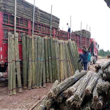 京西竹业  厂家直销 搭菜架绑树苗工艺品细竹子 大量批发细竹竿