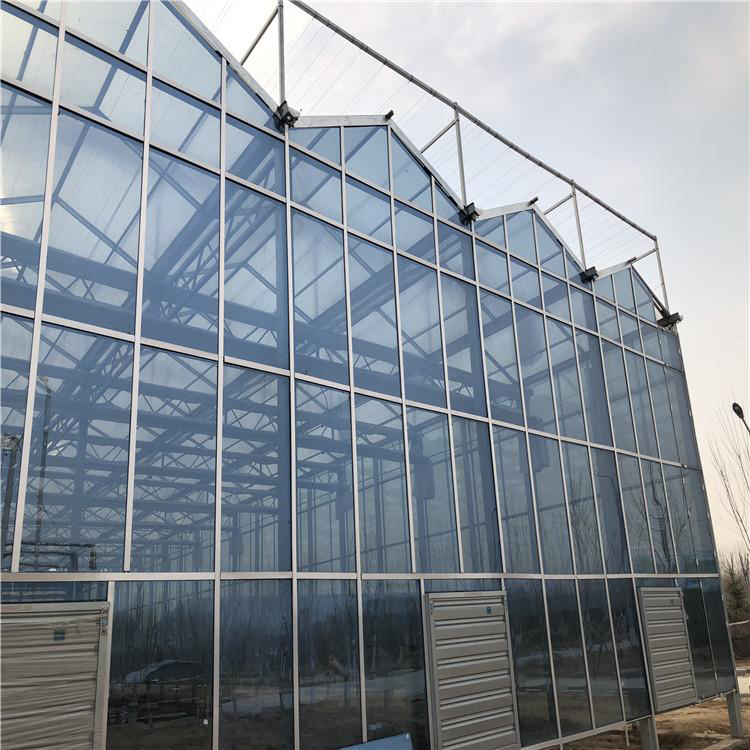 智能玻璃温室价格 温室智能大棚 纹络玻璃大棚厂家 博伟 BW