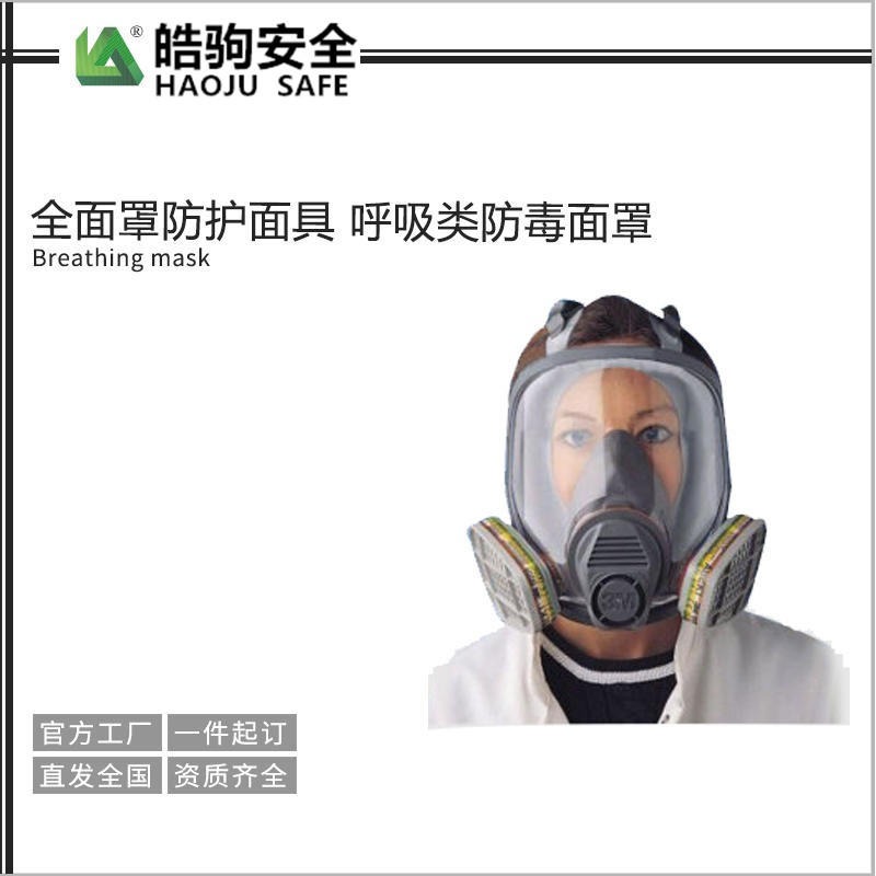 大视野呼吸面罩 防毒面具 防刺激气味面具上海皓驹