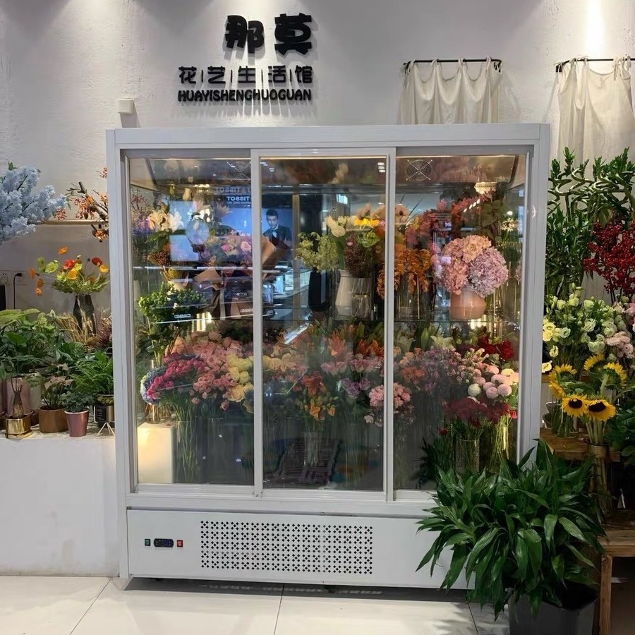 花店专用冰柜  鲜花柜厂家 鲜花柜价格  工厂直销 未来雪冷柜定制  WLX-XH-151