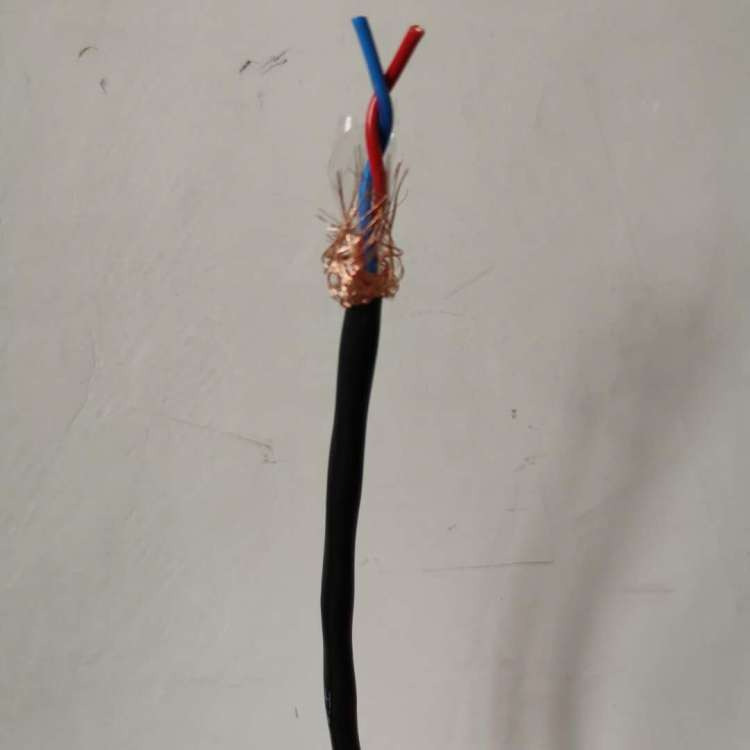 铠装计算机信号电缆JYVP22信号电缆