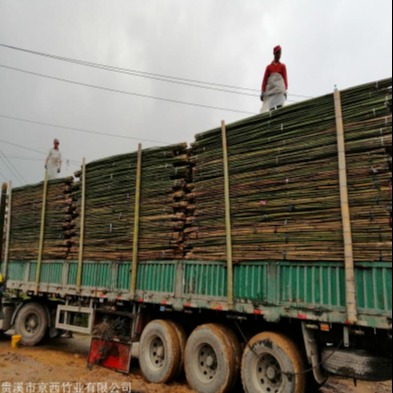 京西竹业   2.3米-2.5米菜架杆批发 搭豆角架 西红柿架 山药架竹杆图片