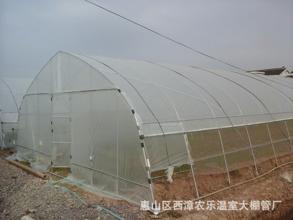 厂家直销优质供应玻璃温室连动大棚温室花卉大棚蔬菜温室大棚示例图5