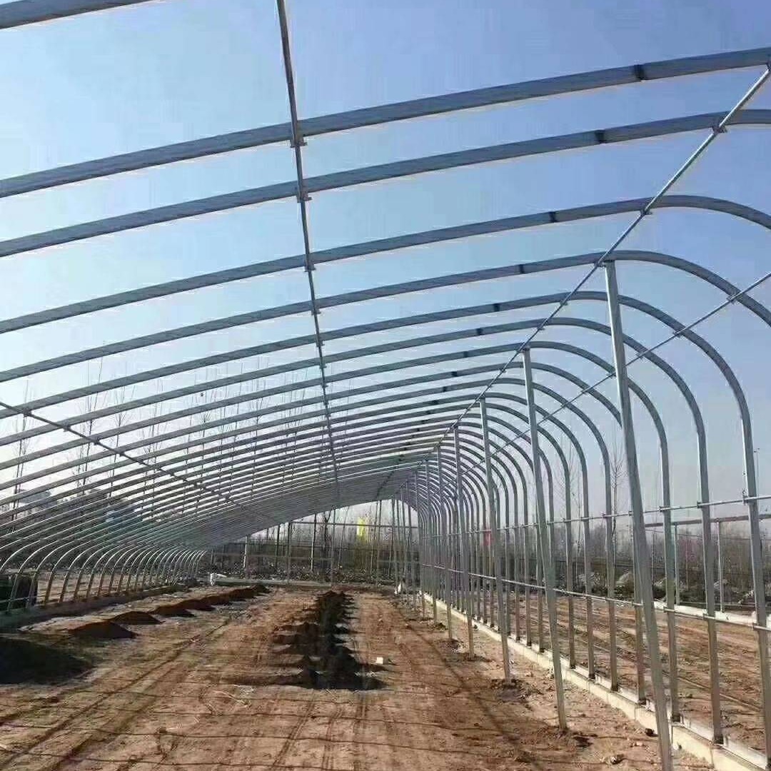 青州鑫泽厂家直销 全钢架大棚 钢架日光大棚价格  钢架薄膜日光暖棚图片