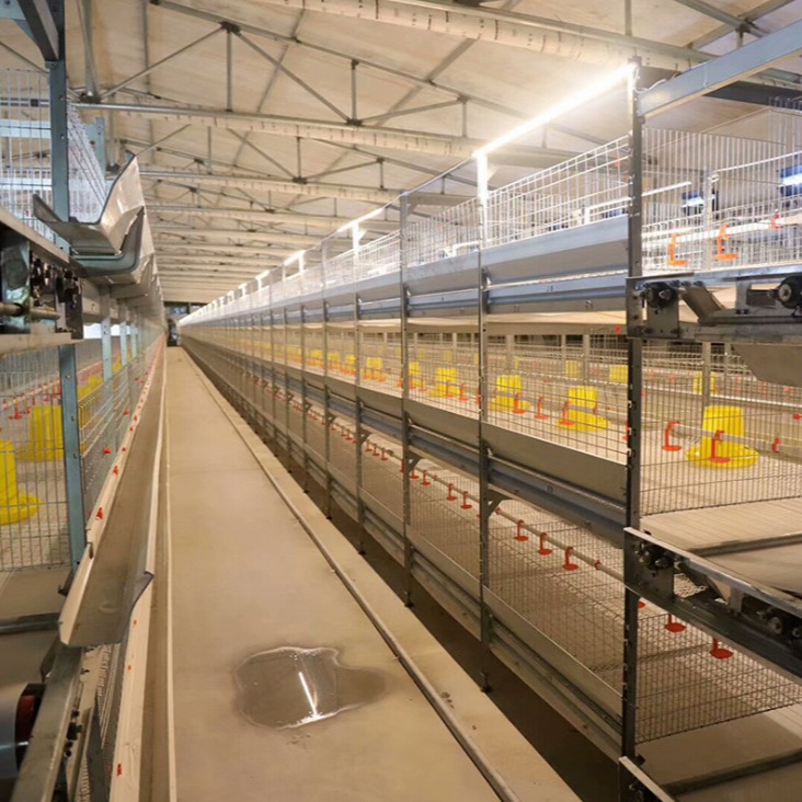 养鸡笼厂家 热镀锌层叠式鸡笼 现货供应鸡笼鸡舍定做 亿泽