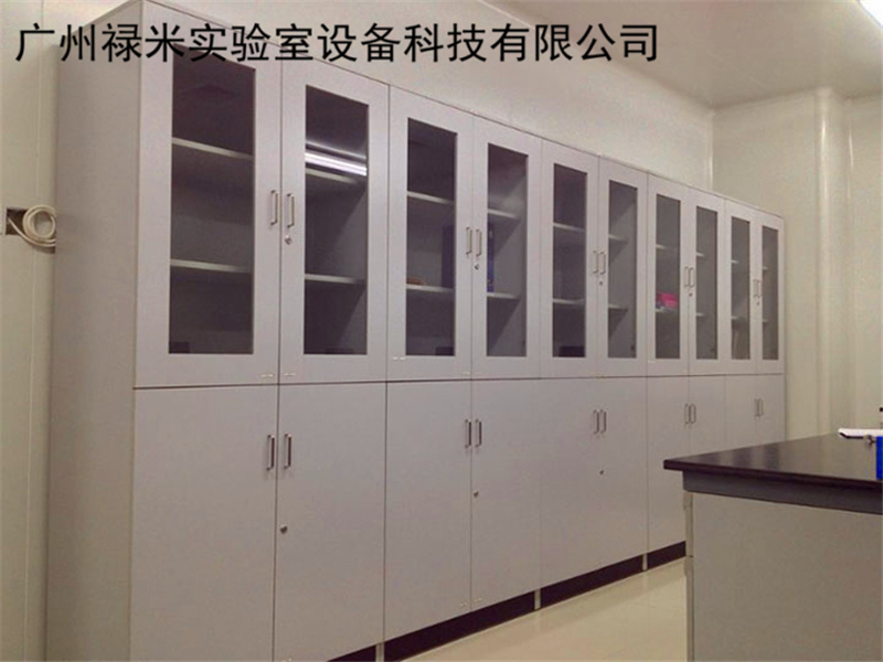 禄米实验室 厂家直销 实验室全木药品柜 全钢药品柜 药品柜定制LUMI-YPG3364图片