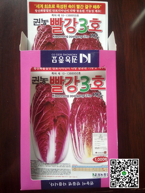 韩国紫白菜种子