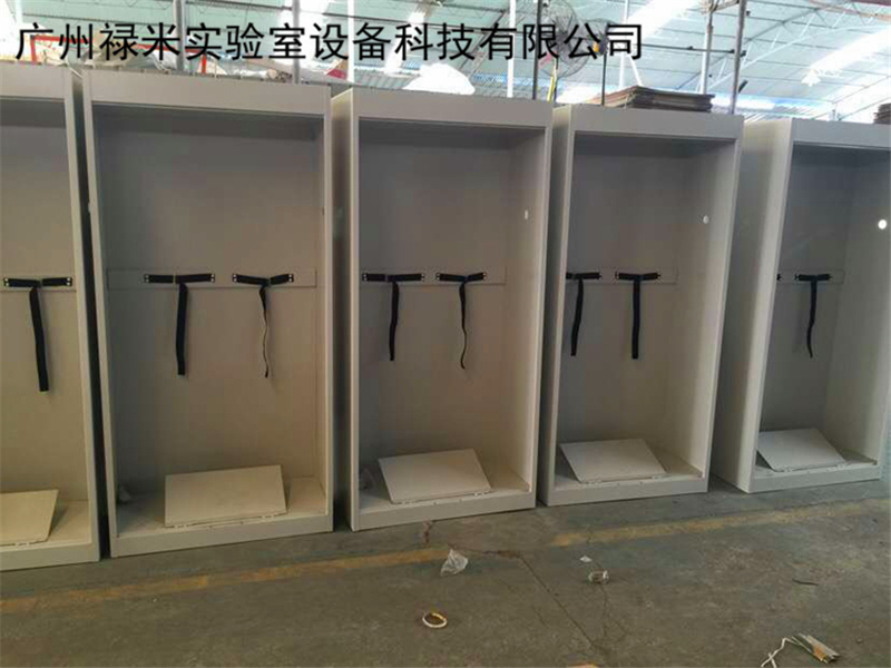 广东实验室气瓶柜生产厂家 禄米实验室加工定制LUMI-QPG908
