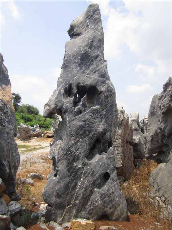 太湖石，广东太湖石，英德太湖石，清远太湖石示例图4