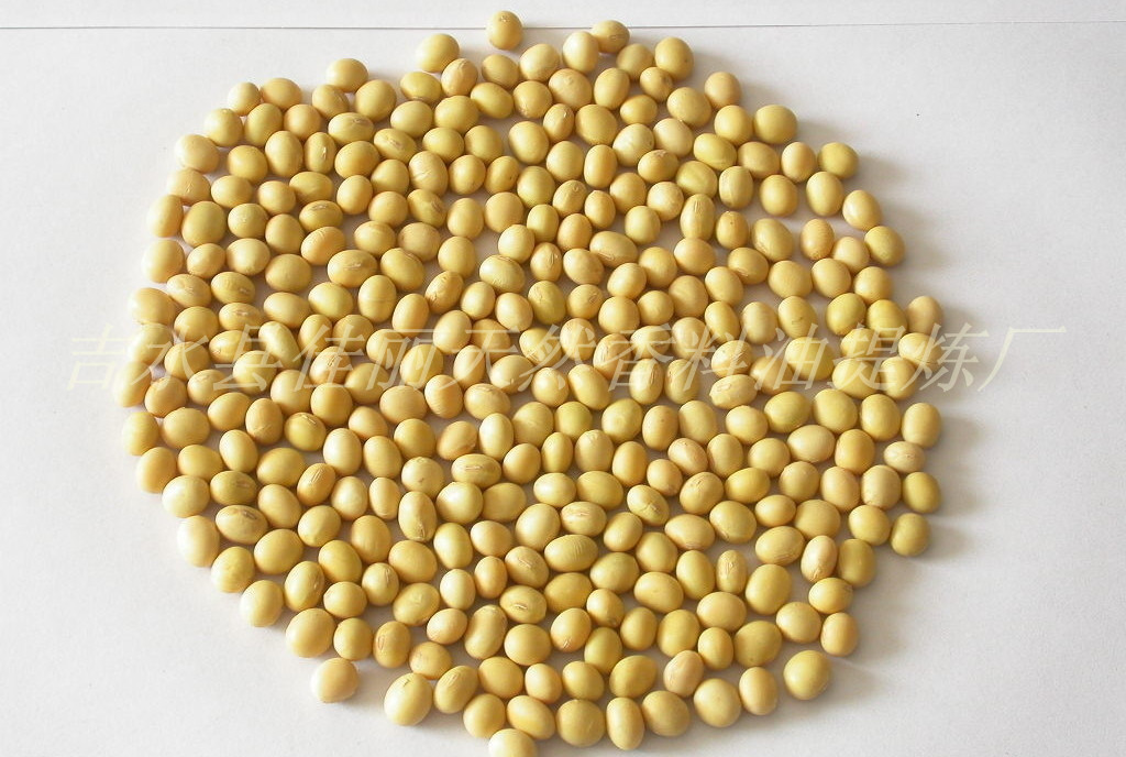 厂家大豆单方精油批发纯天然植物大豆精油供应