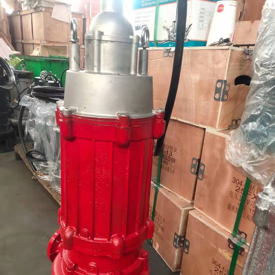 QWPB65-25-15-2.2隔爆型矿用潜水电泵 不锈钢防爆潜水泵 防爆提升泵图片