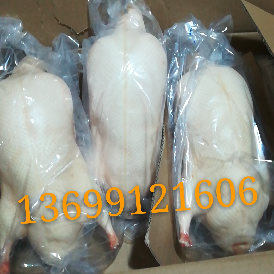 烤鸭坯原料 半成品鸭坯 四系填鸭胚配送