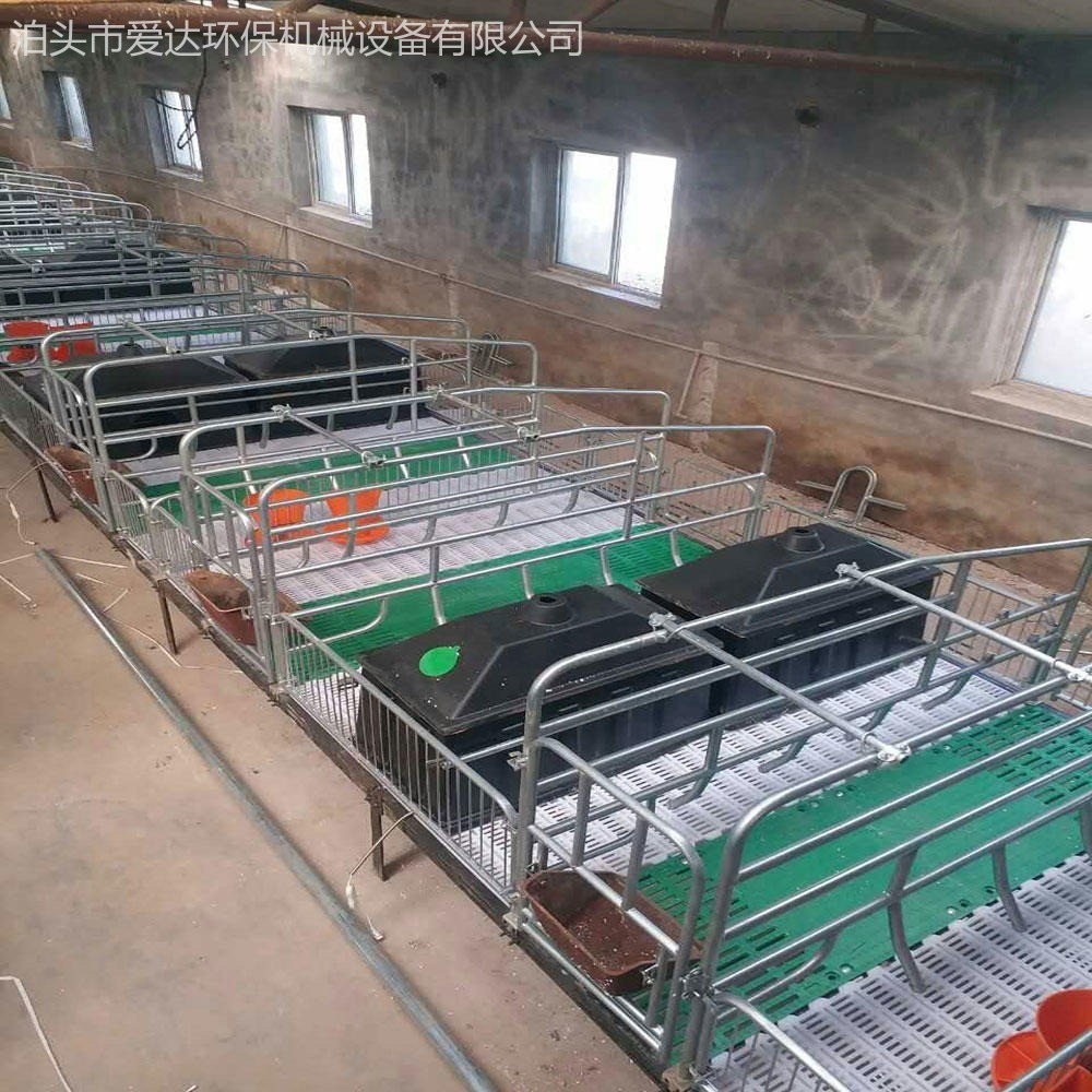 爱达供应 养猪设备厂家 复合板母猪产床 小猪保育床 XH-1 母猪保育床图片