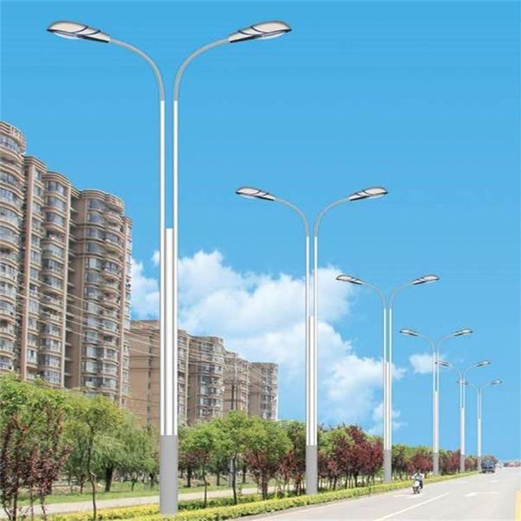 鑫永虹10米双臂市政道路节能环保路灯 LED模组光源图片
