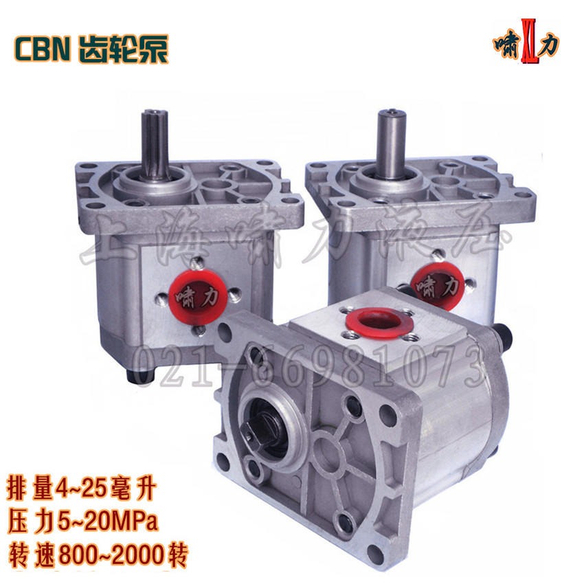 CBN-F308 高压齿轮泵  上海啸力高压油泵 CBN-E308图片