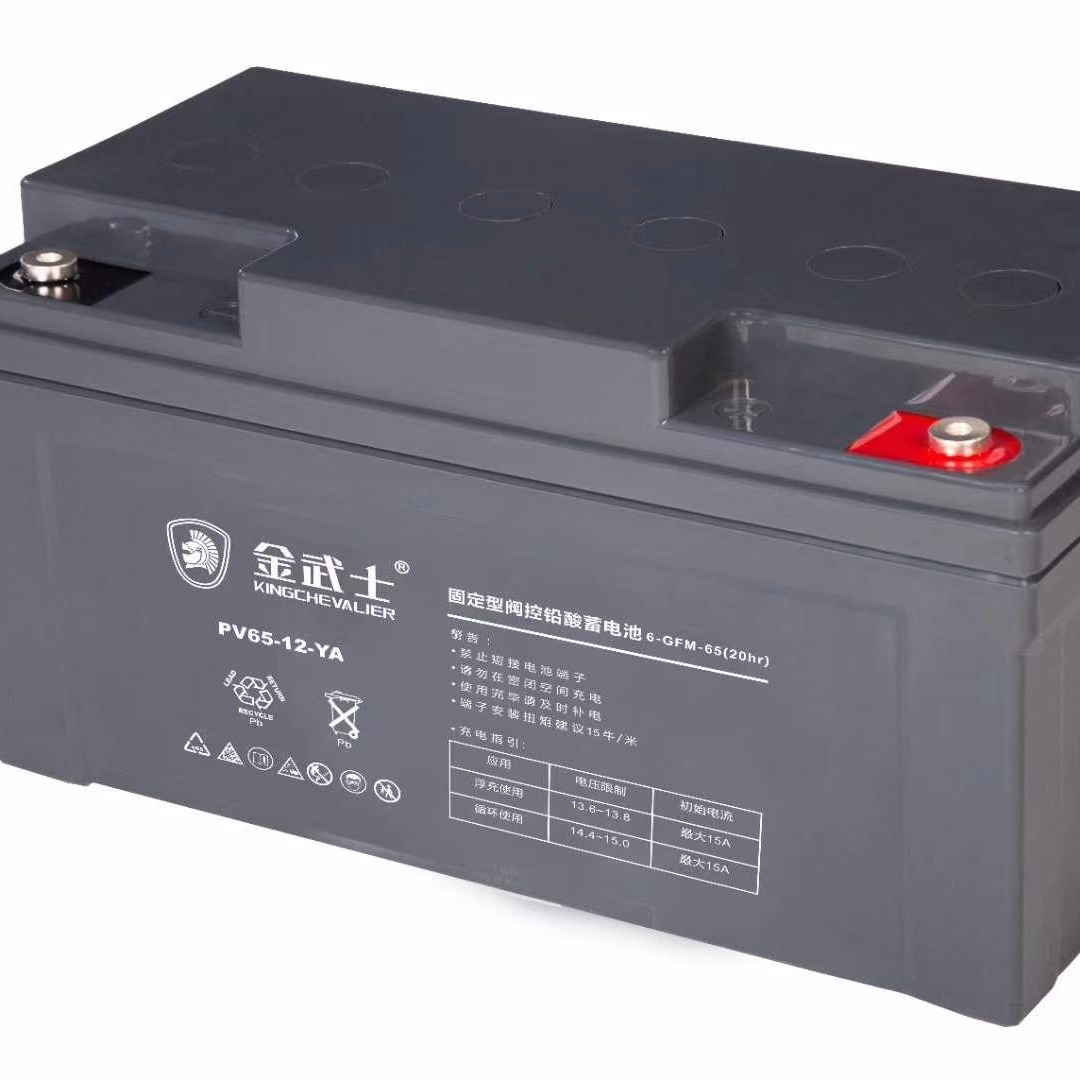 金武士蓄电池12V65AH 金武士蓄电池PV65-12 -YA 铅酸免维护蓄电池 UPS电源专用 现货供应