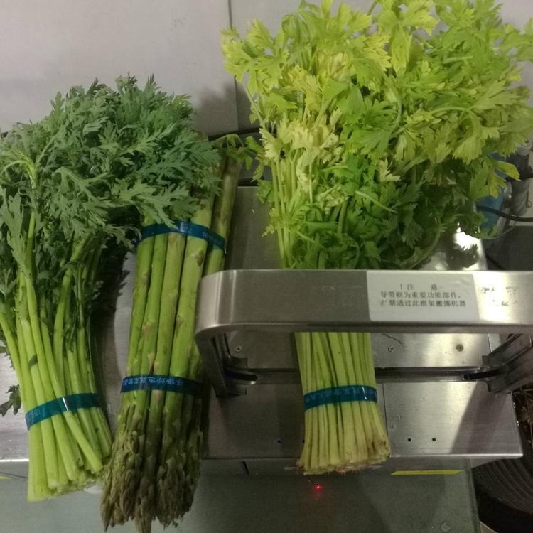 舜工新型蔬菜捆扎机  轻便小型扎把机 生鲜食品不锈钢捆绑机