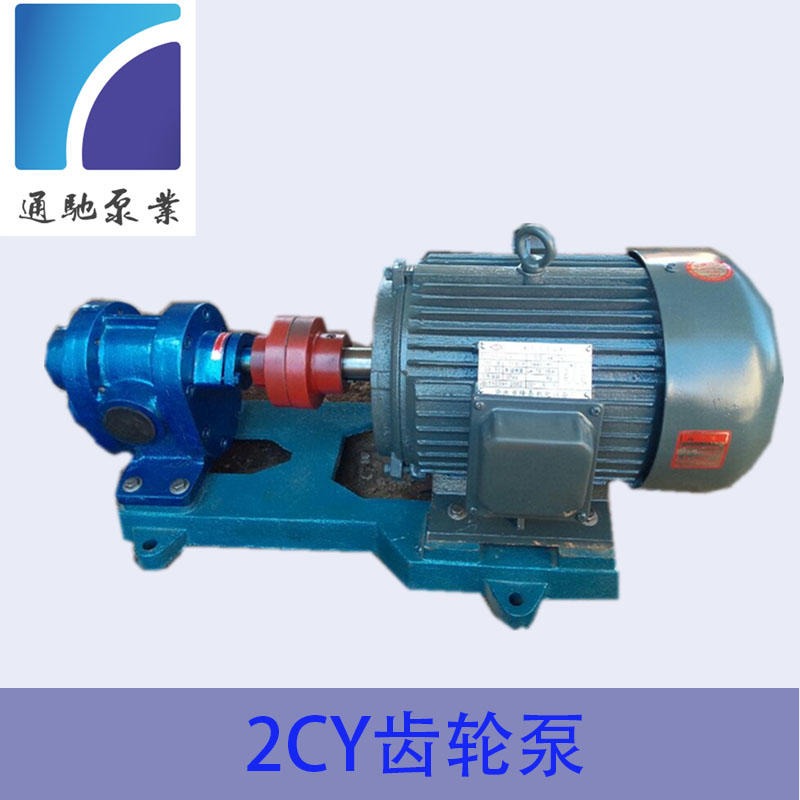 燃油喷射泵 2CY2.1高压齿轮油泵 汽油输送泵 电动抽油泵 齿轮油泵型号图片