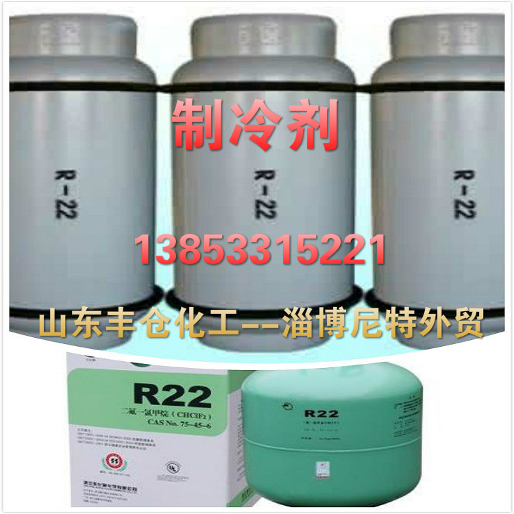 氟利昂R22价格 东岳正品冷媒冷剂氟利昂 淄博多种包装规格制冷剂