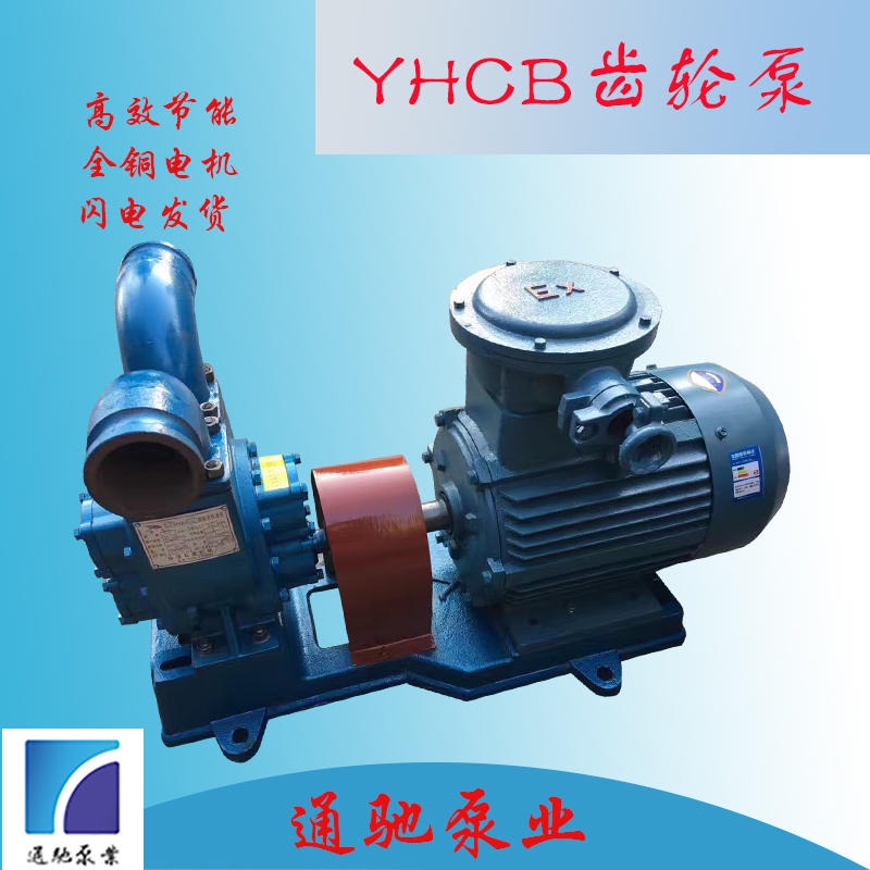 柴油卸车泵 通驰泵业生产大流量汽油泵 YHCB齿轮油泵 车载泵 防爆齿轮泵