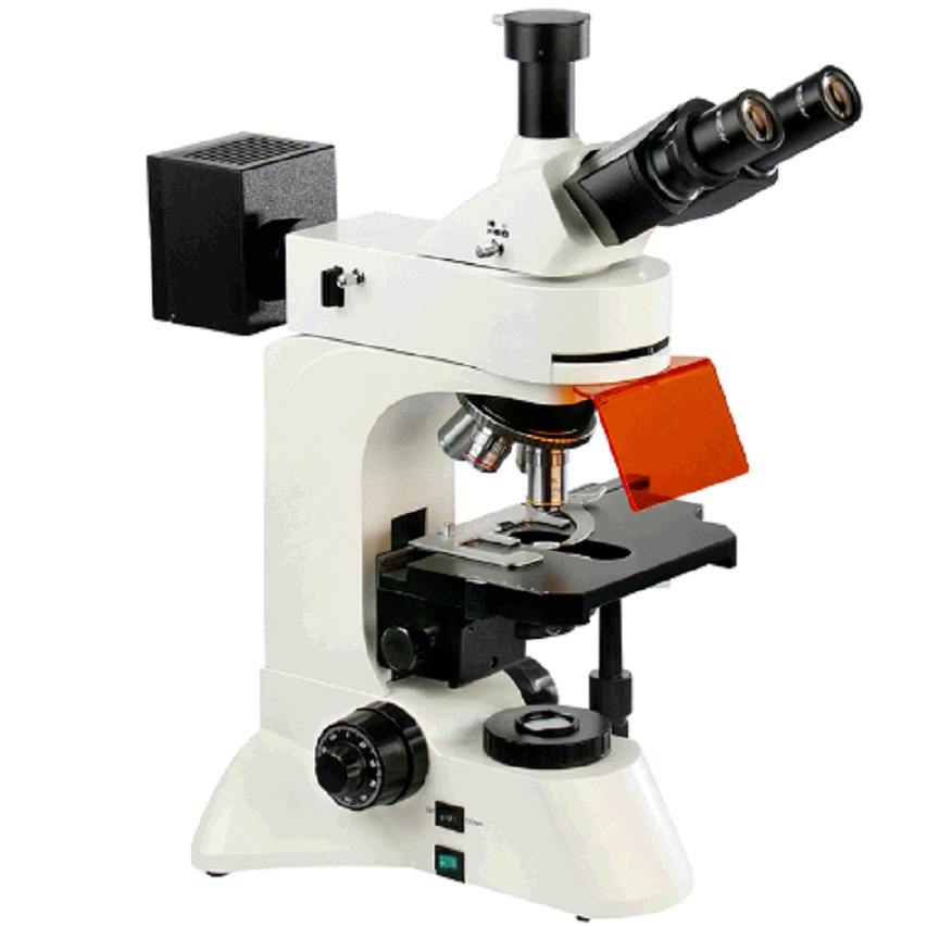 LW300LFT-LED 荧光显微镜 国产荧光显微镜 临沂 莱芜 日照