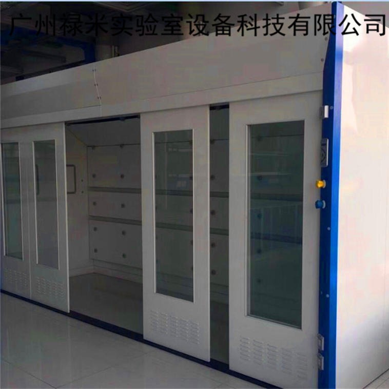 禄米实验室 步入式通风柜 一站式实验室设备供应商,品质保障LUMI-TFG5460