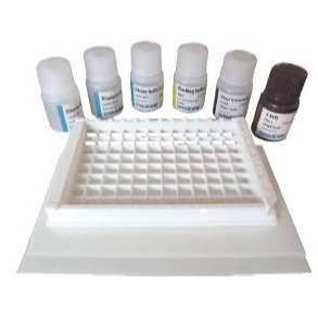 试剂盒 大鼠纤溶酶原激活物抑制因子1试剂盒 PAI-1试剂盒 ELISA试剂盒  慧嘉生物图片