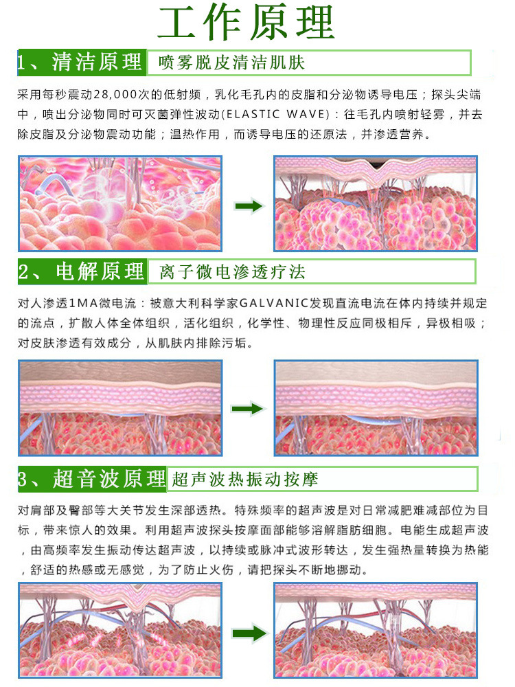 韩国进口白色皮肤综合管理仪 超音波去角质正负电离子渗透导入仪示例图10