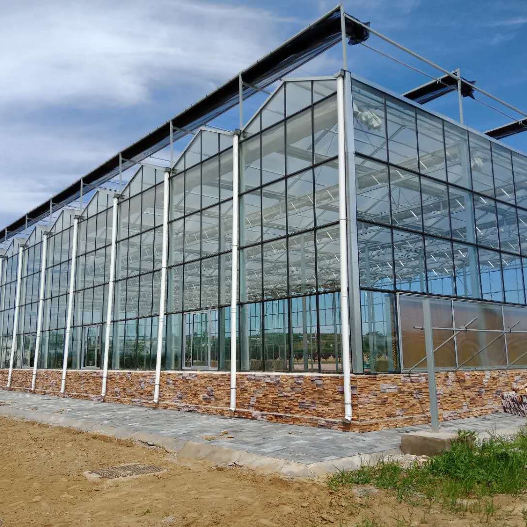 博伟 全自动玻璃温室 玻璃温室大棚 生态园玻璃温室