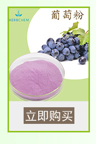 青苹果粉 食品级青苹果粉工厂直销 水溶性苹果粉示例图13