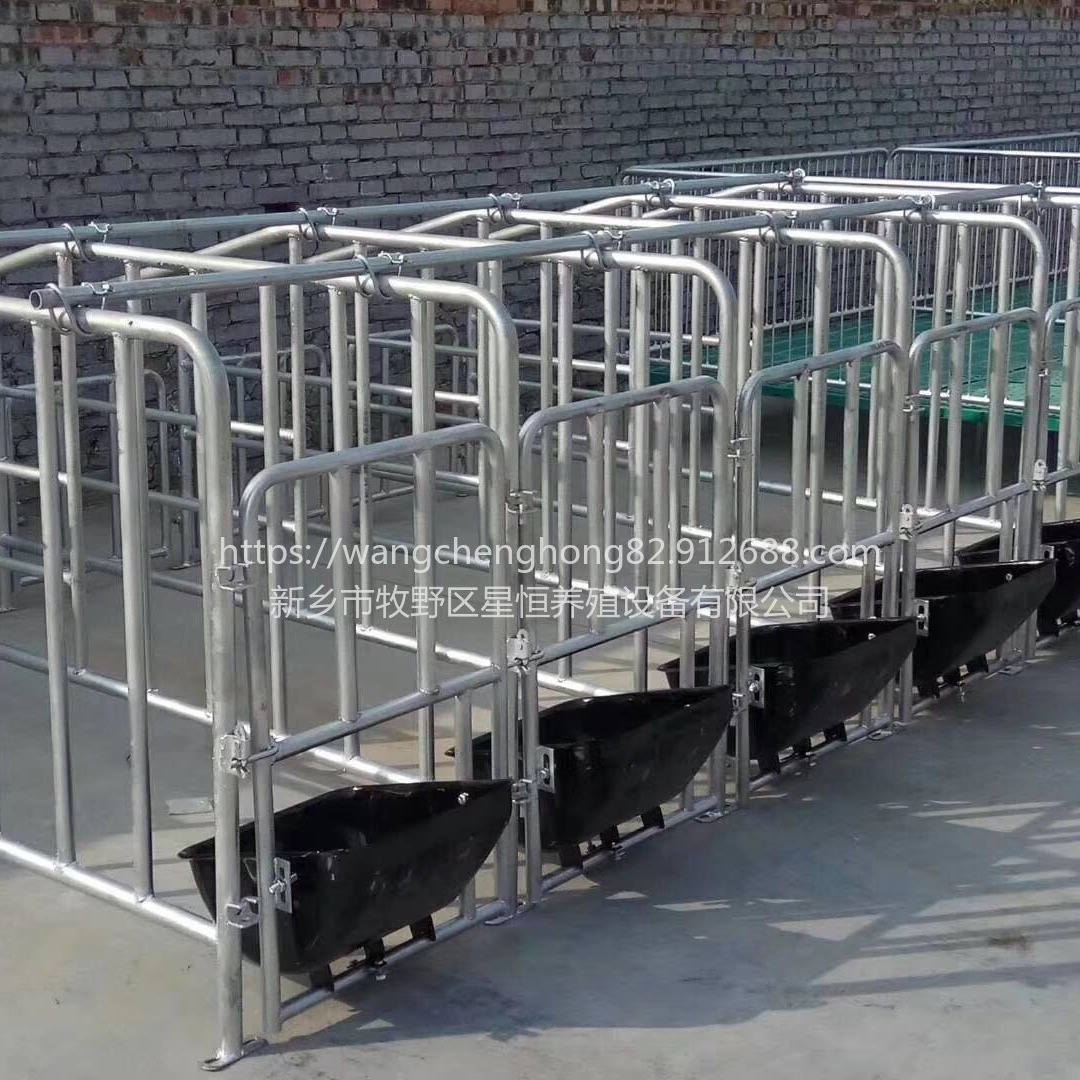 星恒机械母猪限位栏 单体栏 猪用定位栏十个猪位带食槽限位栏.