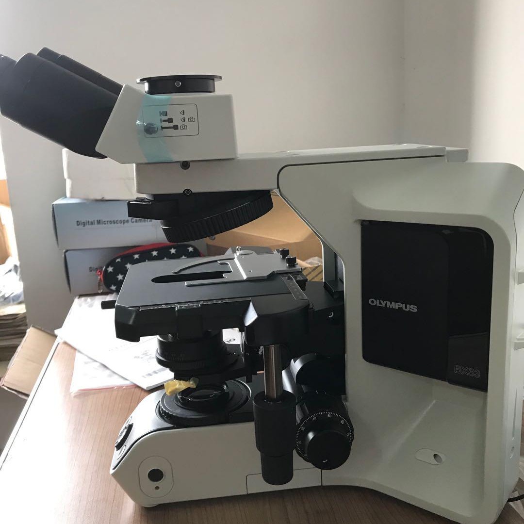 Olympus/奥林巴斯显微镜BX53  显微镜  电子显微镜物镜 荧光显微镜 奥林巴斯 显微镜现货 显微镜价格优惠