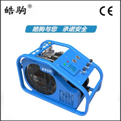 上海皓驹 BW400 消防潜水检测阀门压力表高压泵 空呼气瓶打气机 高压压缩机充气泵