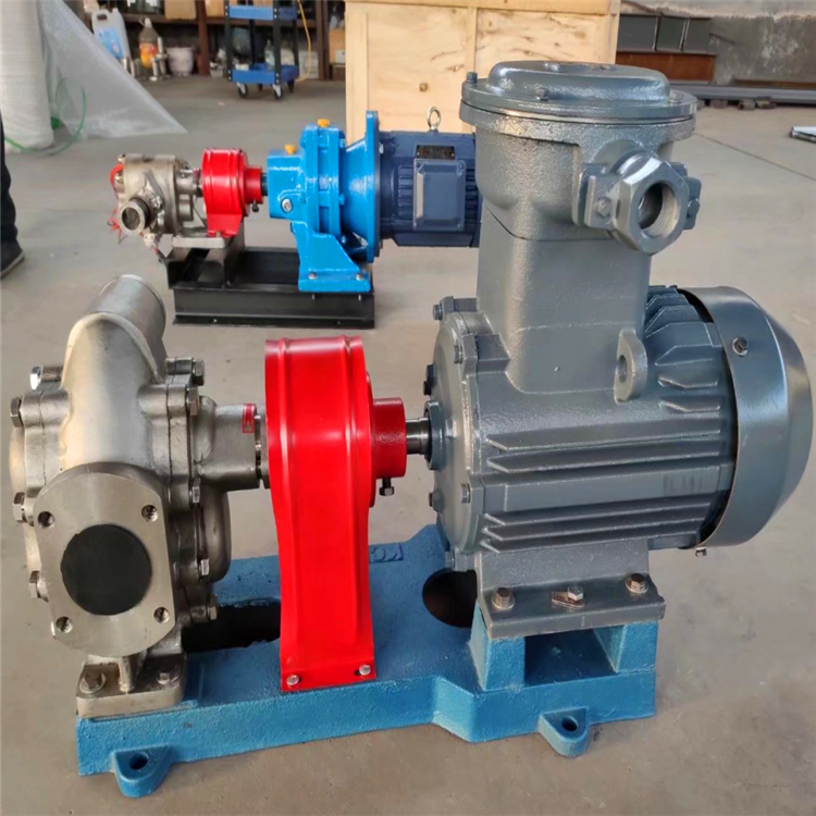 销售kcb不锈钢齿轮泵 输油泵豆浆泵 不锈钢材质齿轮泵