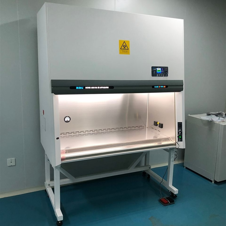 BSC-1100-LIIA2实验室生物安全柜 半排生物安全柜 二级生物安全柜价格示例图1
