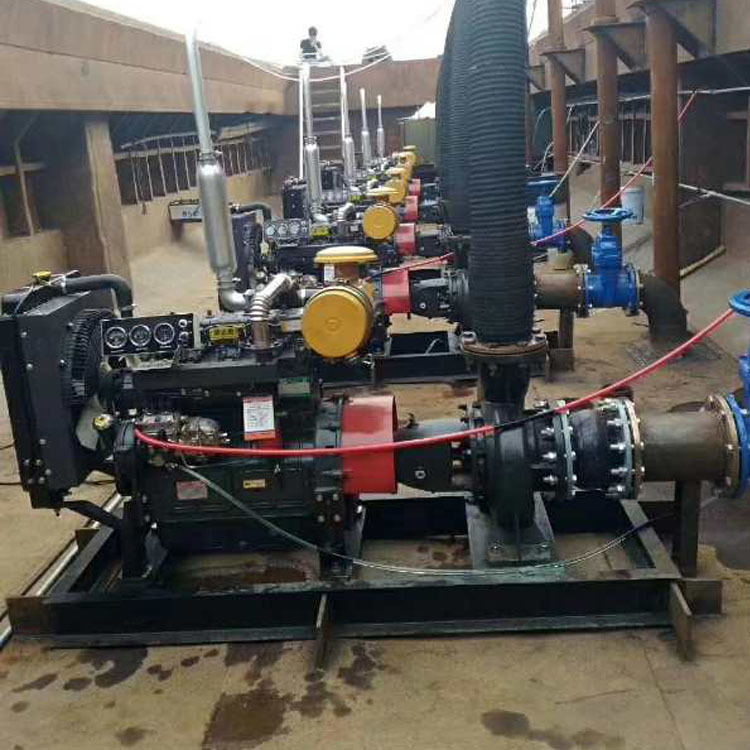 柴油动力水泵机组 8寸水泵 排污泵 移动式水泵机组示例图6