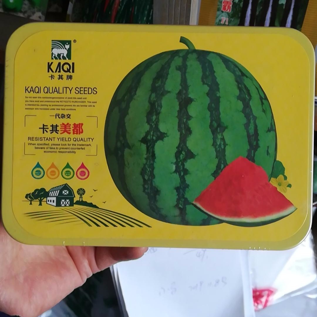 美都西瓜种子新早佳8424西瓜种子改良西瓜种植 超甜赖汉西瓜种子 重茬西瓜种子 原装西瓜种子图片