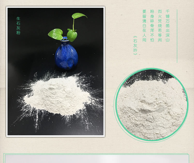 生石灰粉干燥剂50斤包邮 室内干燥 驱虫防霉 树干刷白 生石灰粉示例图8