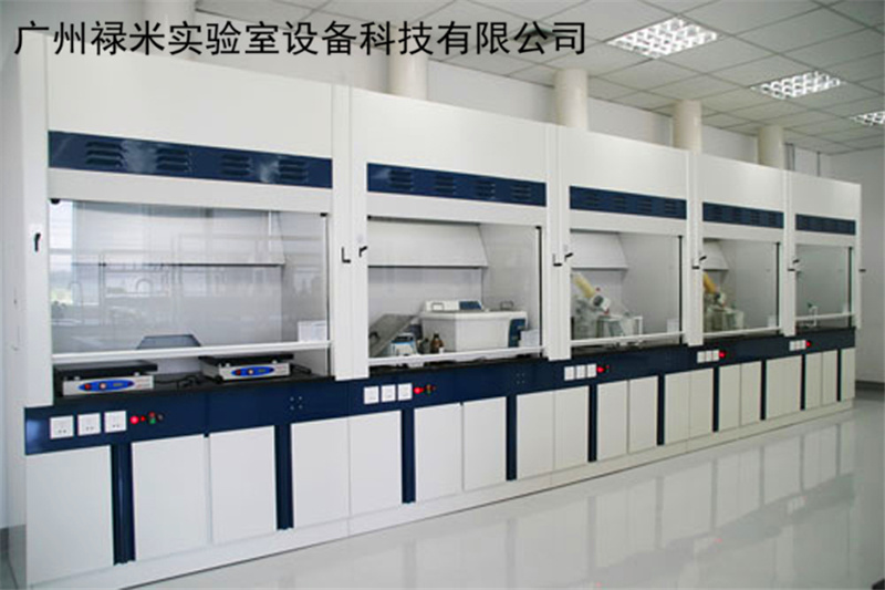 专业生产全钢通风柜可非标定制 广州禄米实验室 满足换气次数要求LUMI-TF44Q