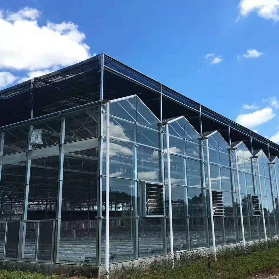 文洛式玻璃温室大棚 太阳板温室大棚 纹络玻璃大棚 博伟 BW