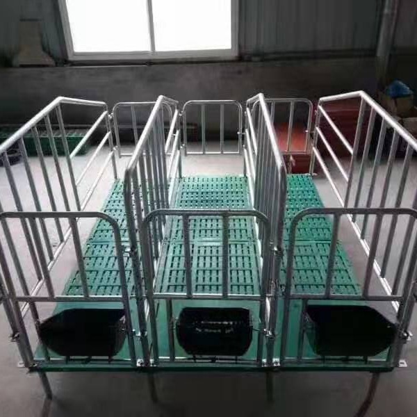 热镀锌双体母猪产床 限位栏 保育床源头厂家现货出售
