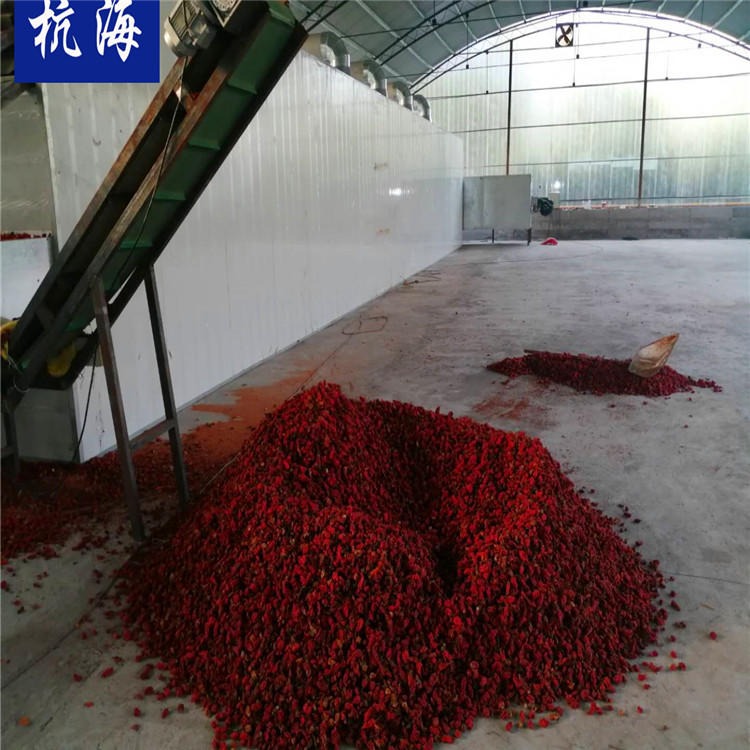 杭海 辣椒烘干机 网带式烘干机械设备厂家