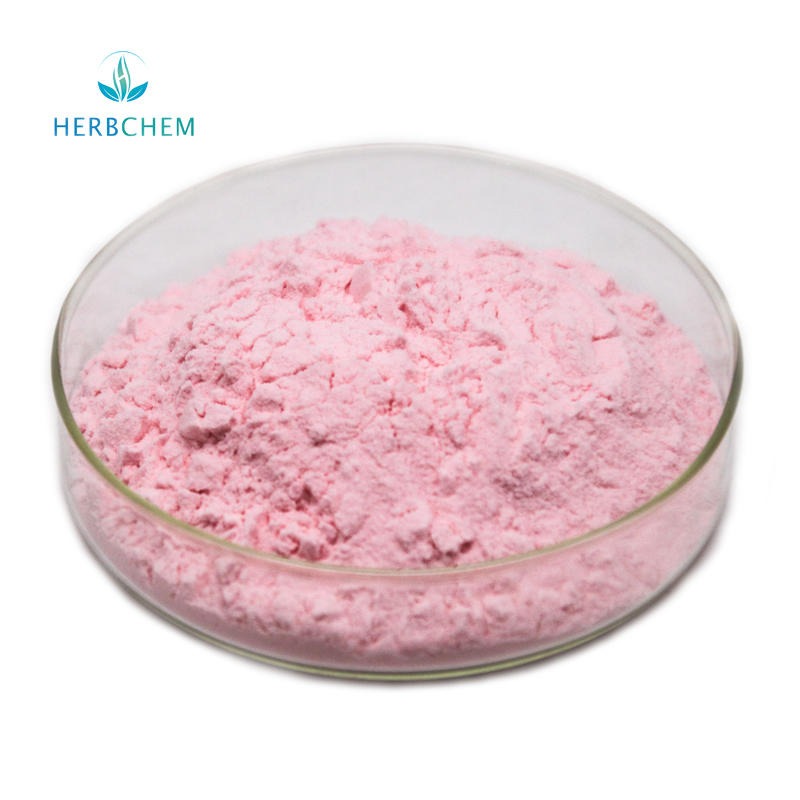草莓粉 昊辰工厂生产批发 烘焙固体饮料食品级原料 天然速溶草莓果粉