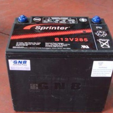 美国GNB蓄电池S12V280 美国GNB蓄电池12V60AH原装正品