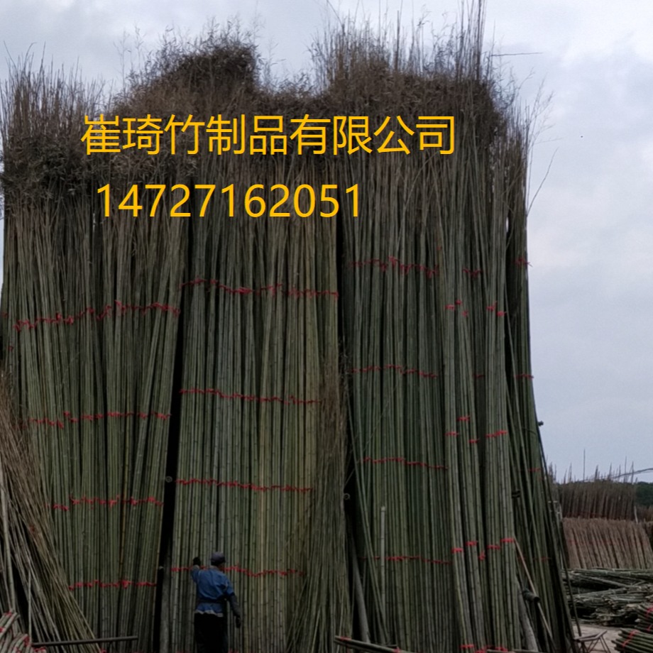 搭棚竹厂家 5米到10米长竹秆 晒大蒜 温室大棚竹竿 种竹苗 长短粗细可定制