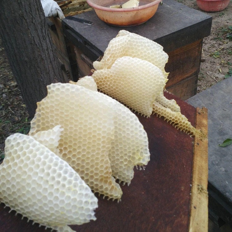厂家直销黄蜂蜡  蜂巢蜡 白蜂蜡 量大优惠