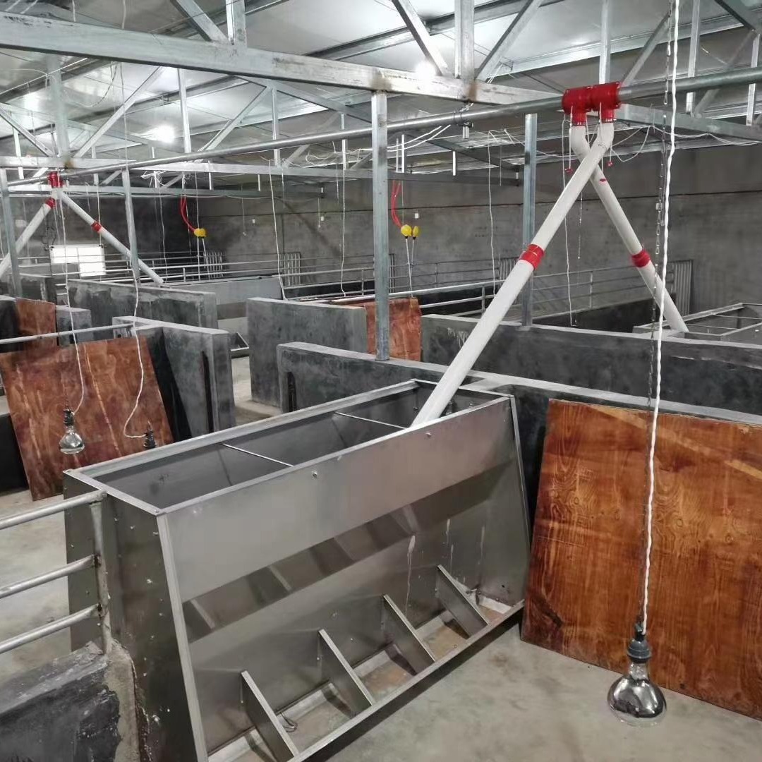 猪场自动化养殖设备 热镀锌塞盘、绞龙式自动料线 自动喂料机 风华农牧机械